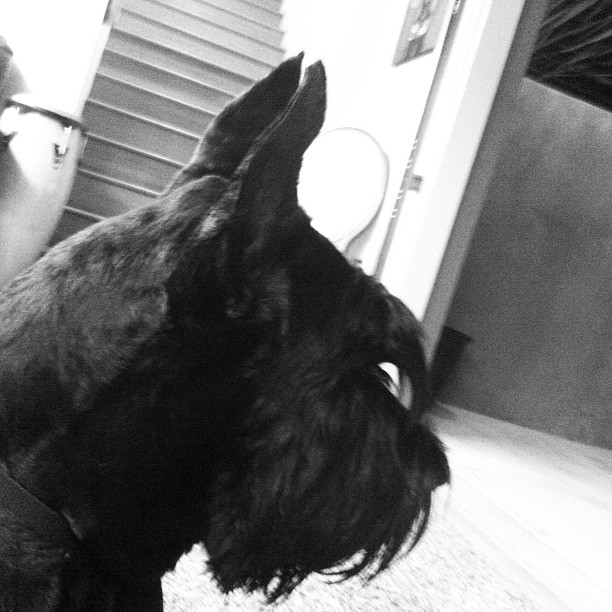 instagr.am (6)